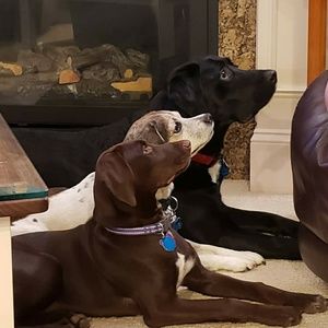 Meet your Posher, Shanna